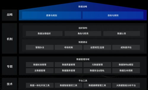 洞見未來，駕馭數據 國內優秀數據治理服務商及軟件開發指南